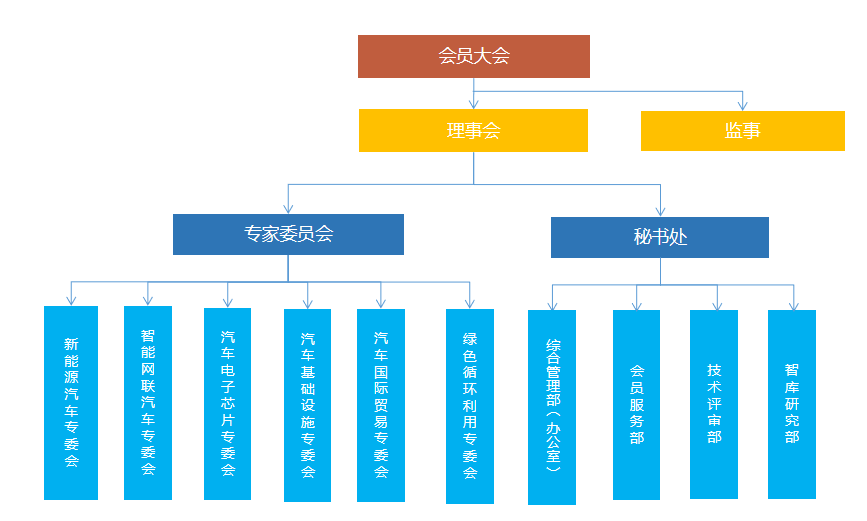 联合会组织架构.jpg